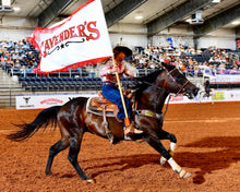 Load image into Gallery viewer, Flag | Premium Rodeo Grand Entry Flag